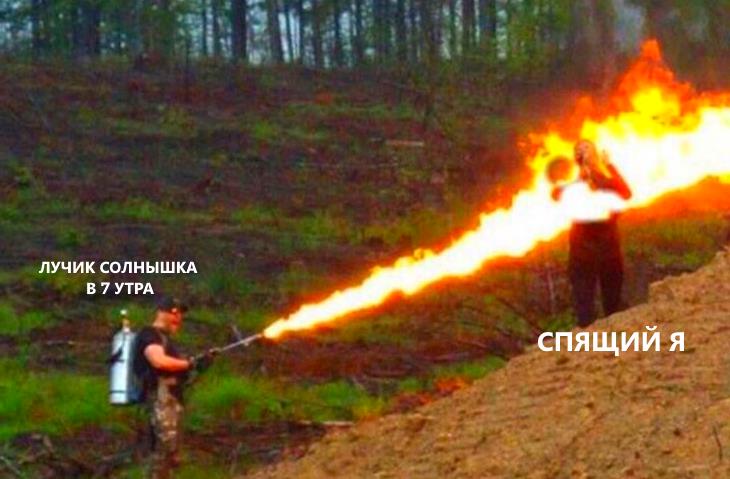 Утро без рулонных штор