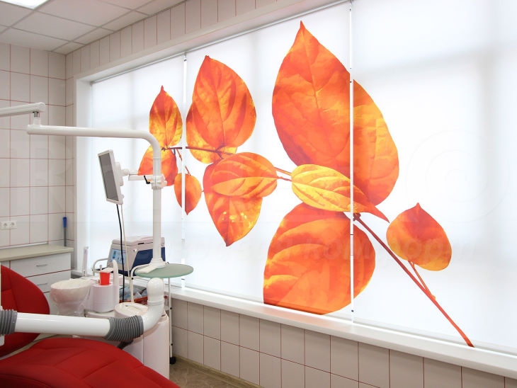 Фотопечать на рулонных шторах